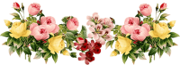 flowerbotinvitation_bg